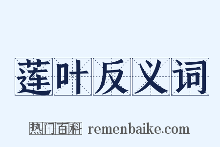 莲叶反义词是什么意思的图片